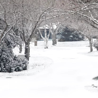 Kfz-Pflege im Winter